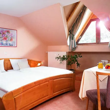 Sauerländer Hof 3* Willingen (Upland)